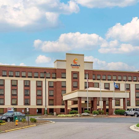Comfort Suites Outlet Center Asheville Dış mekan fotoğraf